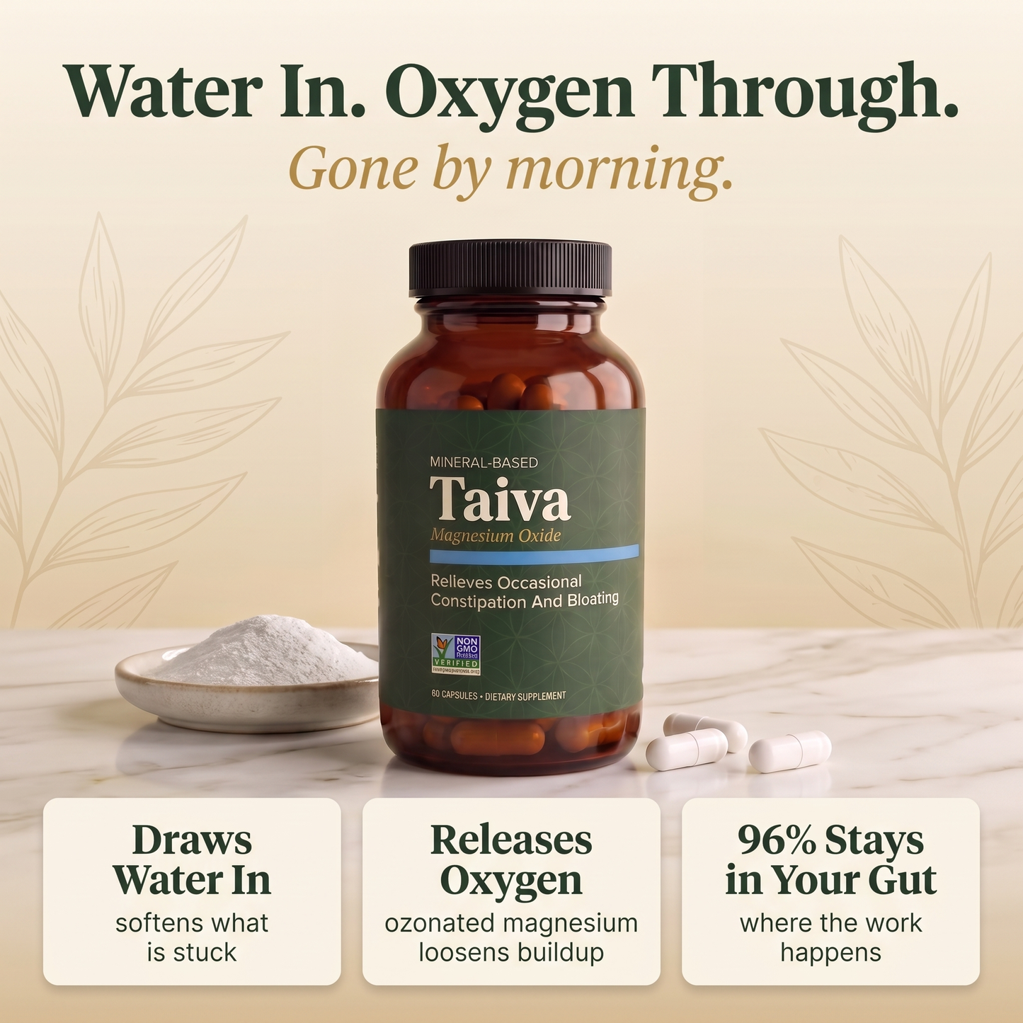 Taiva Gut Relief